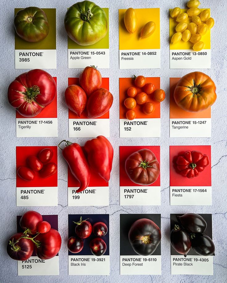 an assortment of different types of tomatoes and peppers on a white surface with red, yellow, green, and orange labels