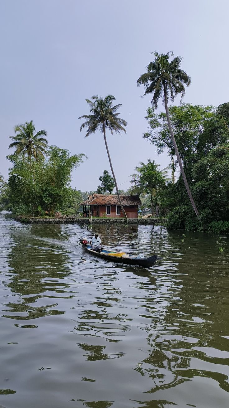 a small boat floating on top of a river next to lush green trees and palm trees