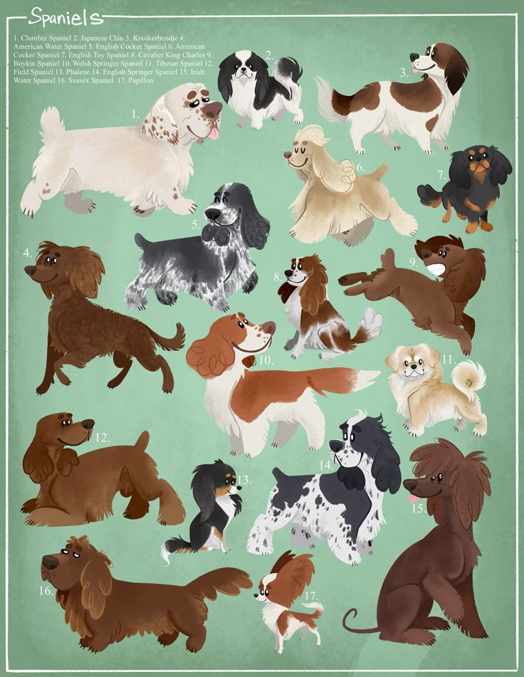 8.5"x11" spaniel dogs art print. printed on fine art paper Brown Dog Illustration, Dog Portrait Illustration, Whippet Illustration, Spaniel Illustration, Dog Portraits Illustration, Dog Illustration Art, Pets Illustration, Dog Portraits Art, Spaniel Art