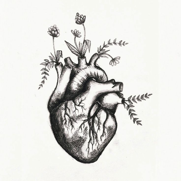 a black and white drawing of a human heart with flowers growing out of the side