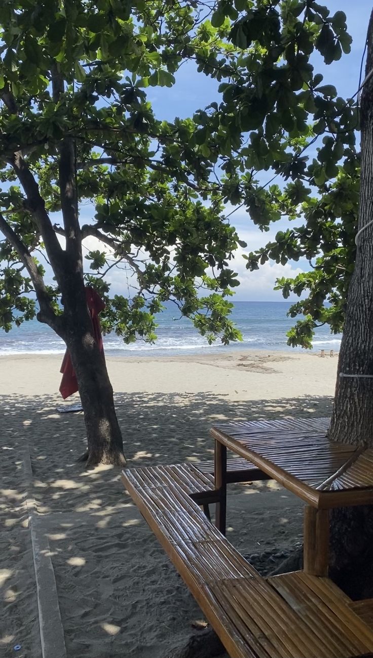 a wooden bench under a tree on the beach