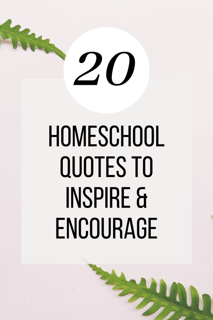 the words 20 homeschool quotes to inspire and encourage on top of a