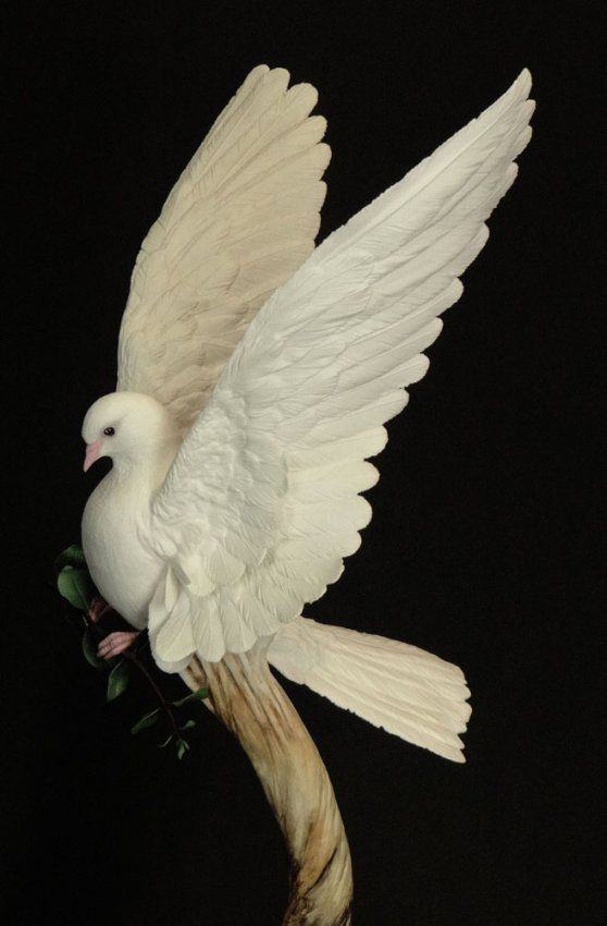 a white bird with its wings spread out on a branch