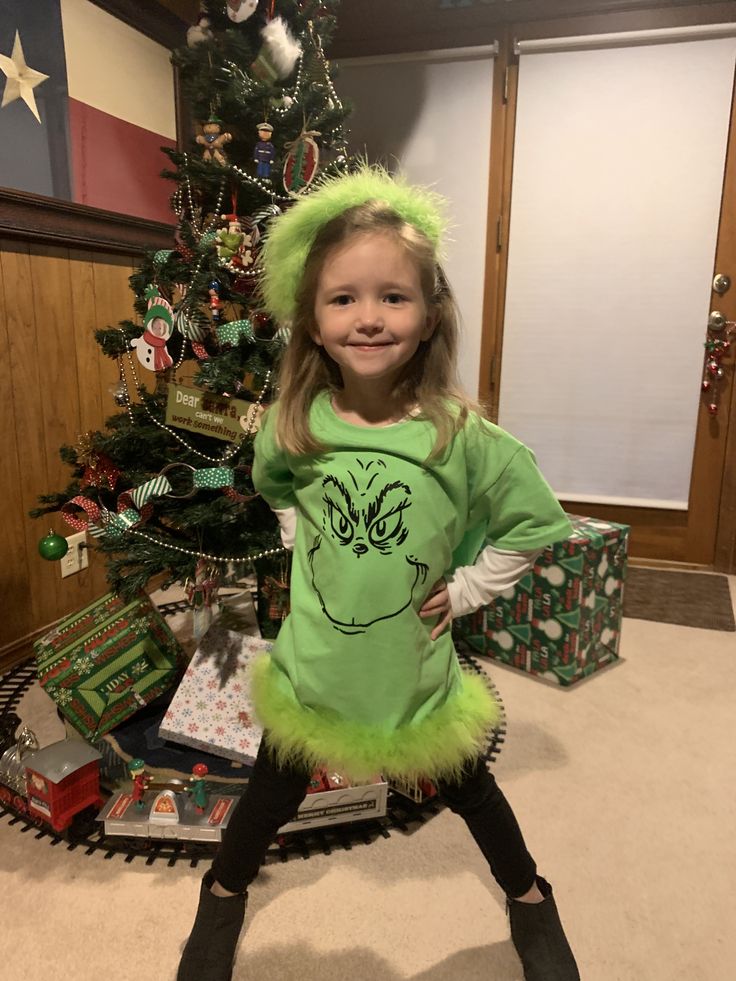 Grinch Characters Costumes Diy, Diy Grinch Costume, Kids Grinch Costume, Diy Grinch Shirt, Grinch Dress, Grinch Outfit, Christmas Character Costumes, Grinch Costume, Grinch Birthday