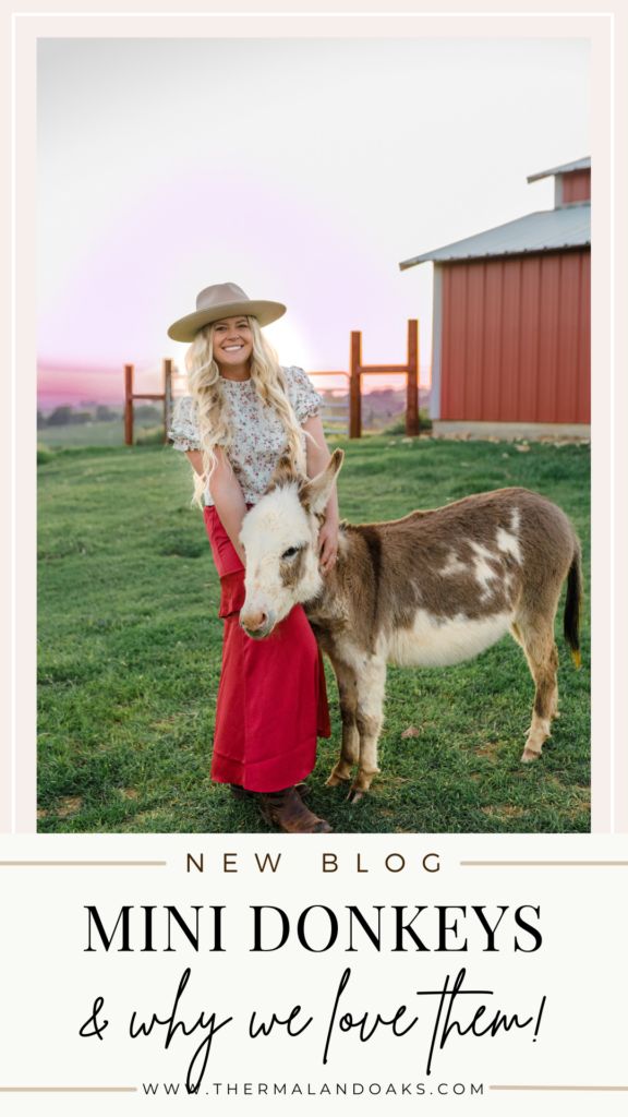 a woman standing next to a small donkey on top of a grass covered field with the words new blog mini donkeys and why