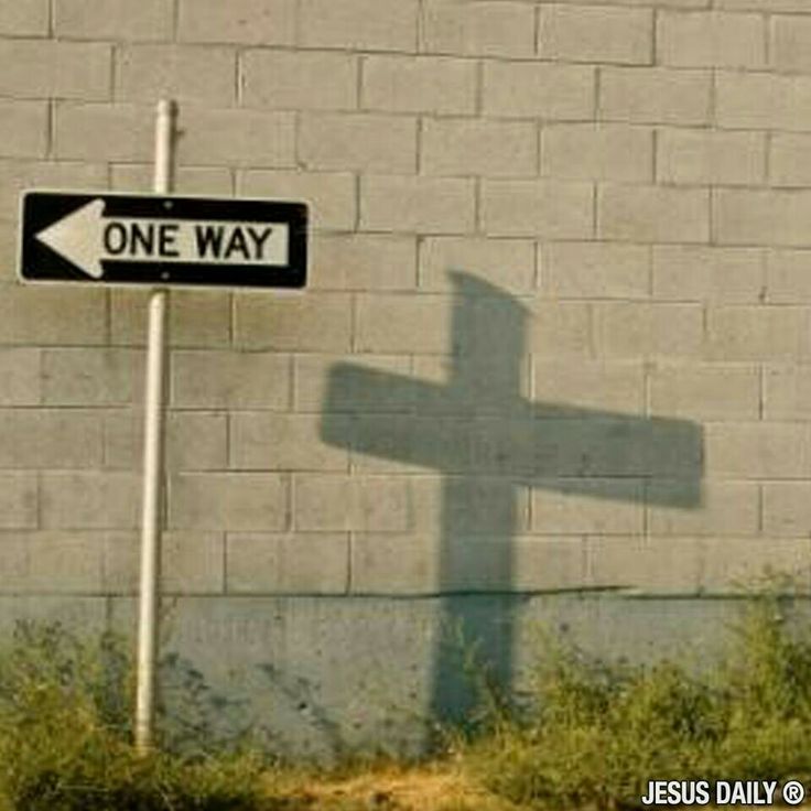 a one way street sign in front of a brick wall with grass growing on the ground