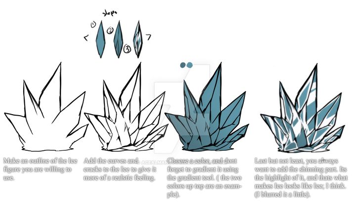 the different types of plants are shown in this drawing lesson, which shows how to draw them