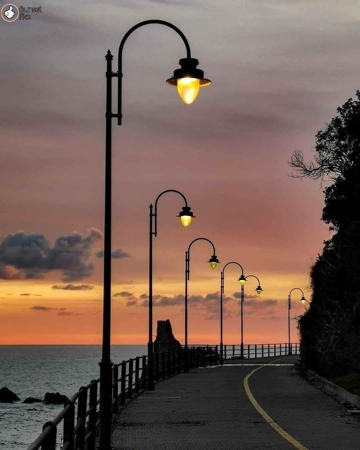 a street light sitting on the side of a road next to the ocean at sunset