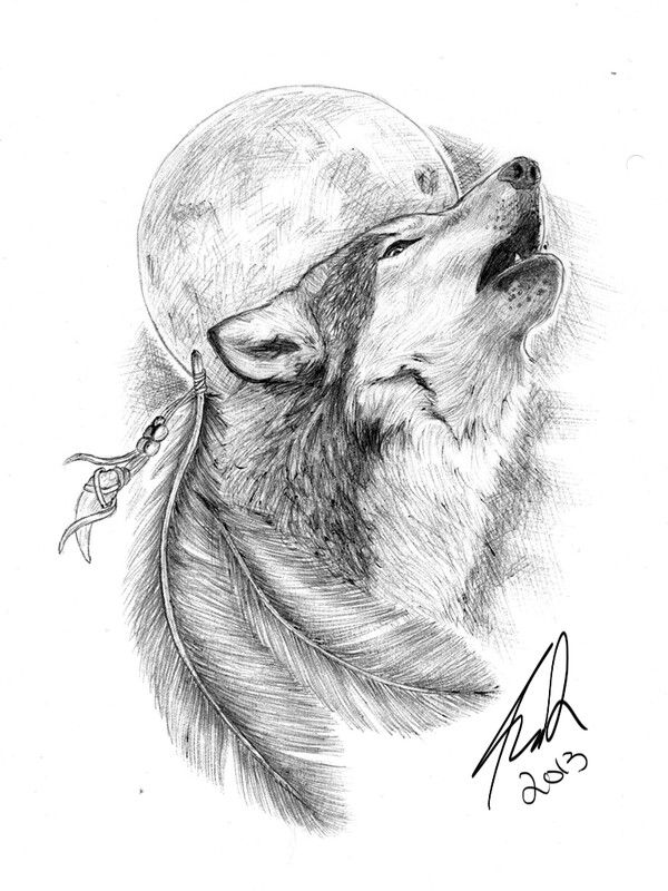 a drawing of a wolf's head with its eyes closed