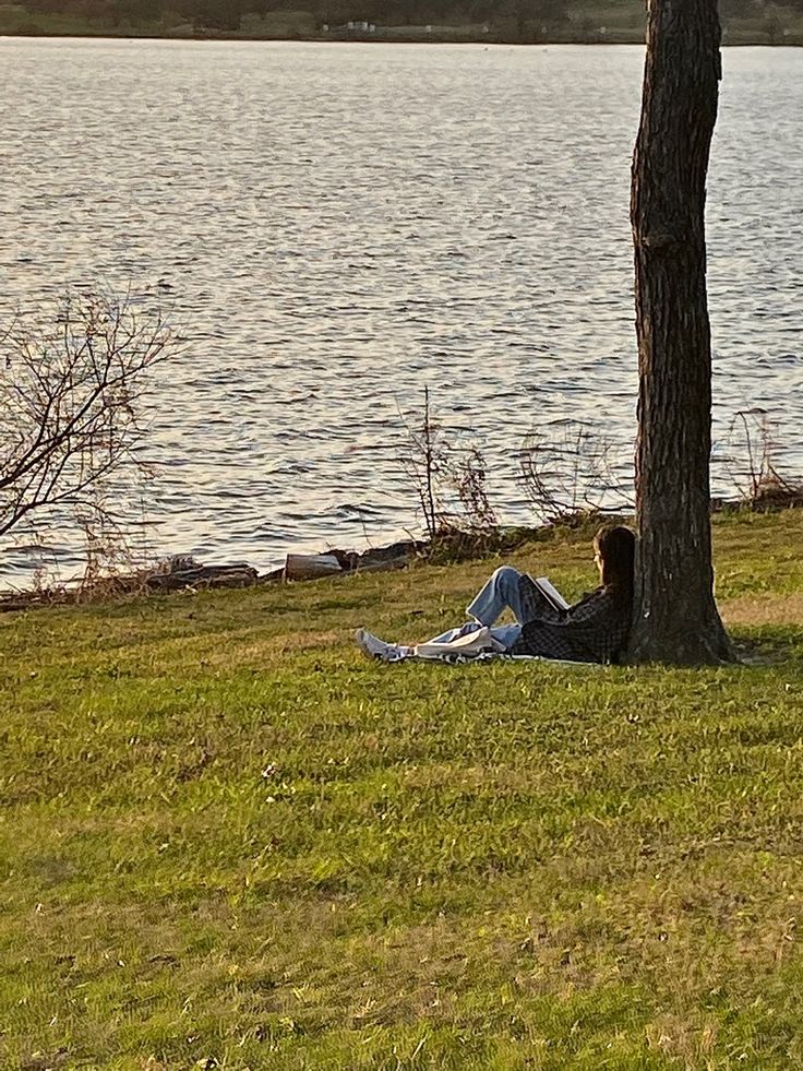 a man sitting under a tree on top of a lush green field next to a lake