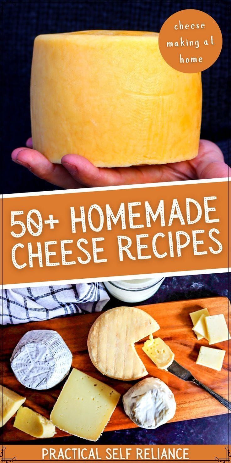 the cover of 50 + homemade cheese recipes, with text overlays that reads'50 + homemade cheese recipes practical self reliance