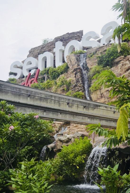 there is a large sign that says san francisco on the side of a hill above a waterfall