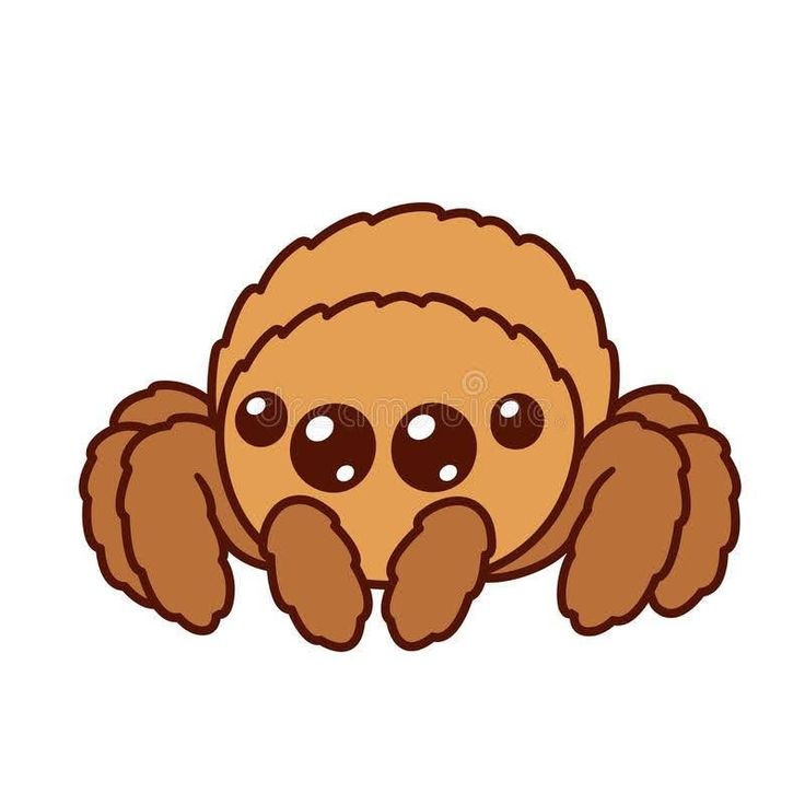 a brown spider with big eyes sitting on top of it's back and looking at the