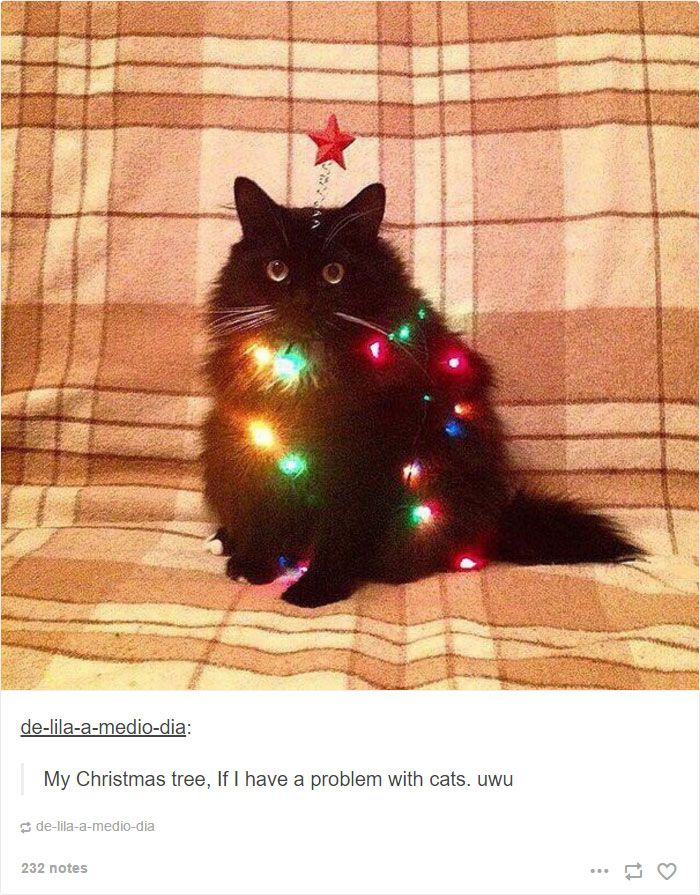 a black cat sitting on top of a couch covered in christmas lights and a red star