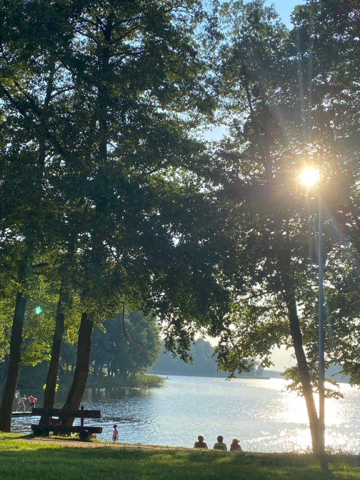 the sun shines brightly through the trees near a lake with people sitting on benches