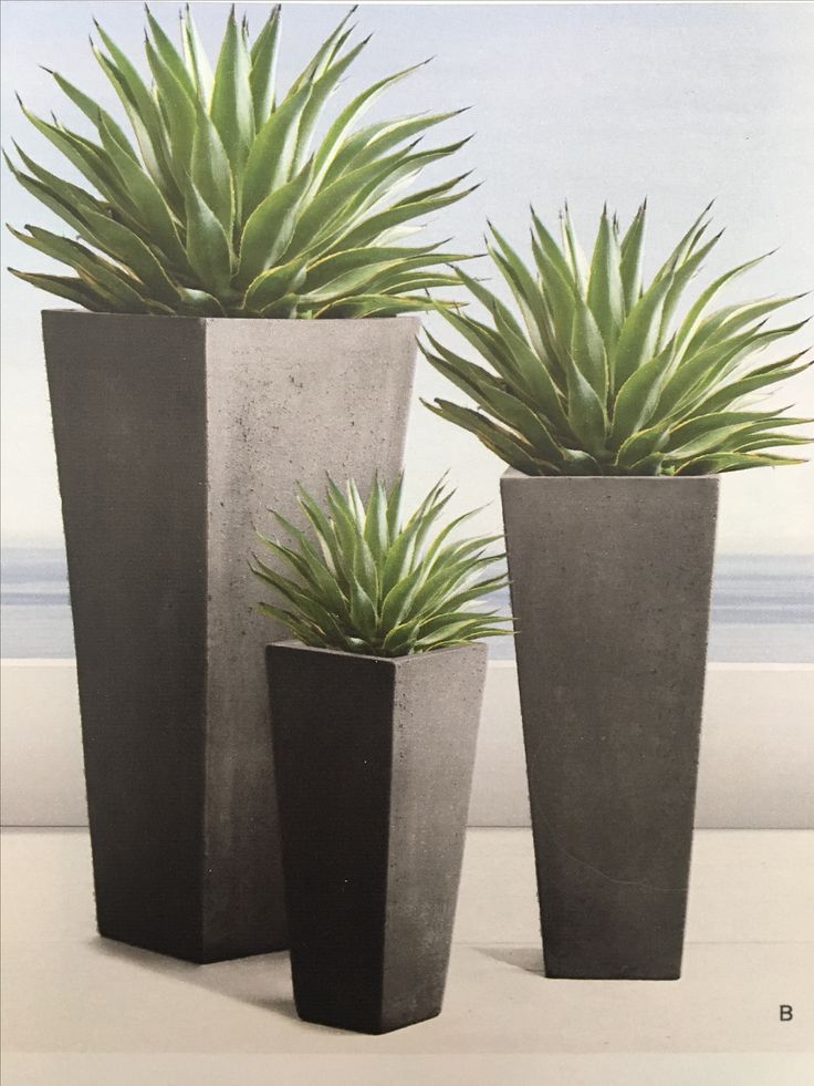 three cement planters with green plants in them