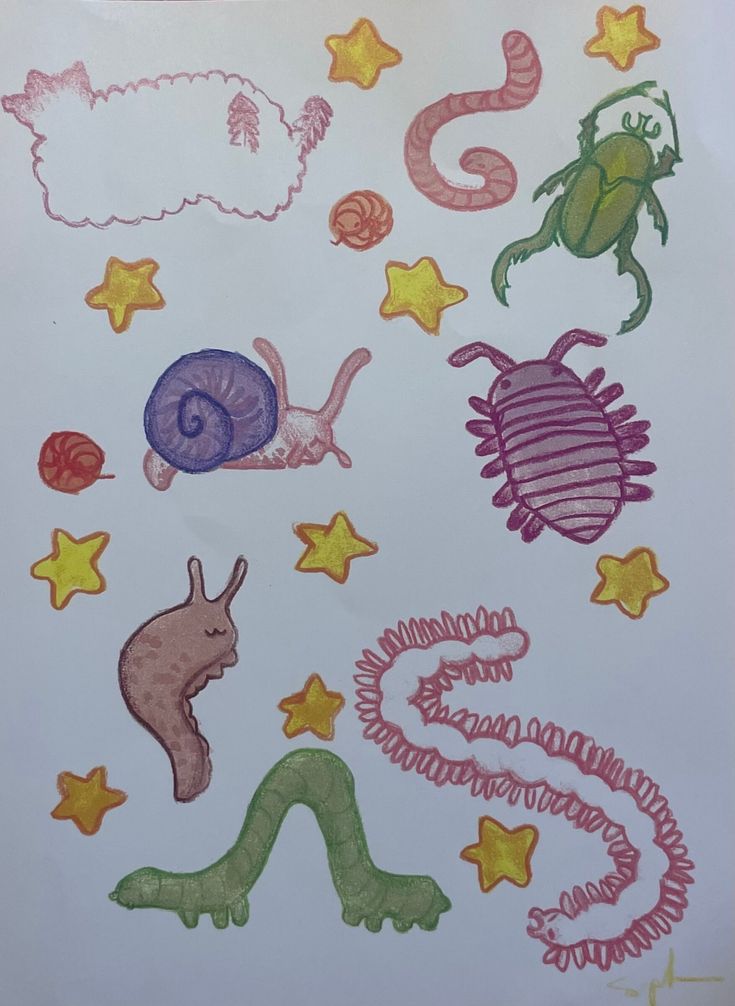 the drawing shows different types of animals and stars on white paper with colored crayons