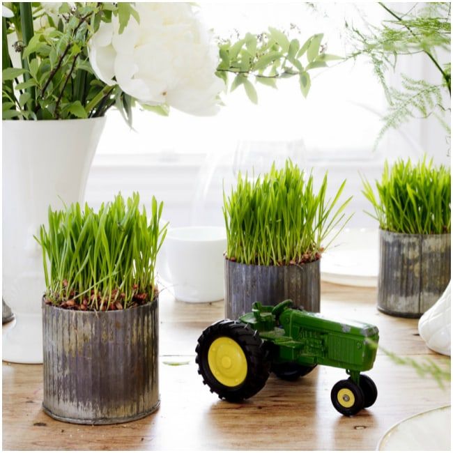 some plants are in tin cans with wheels on the table next to flowers and a tractor