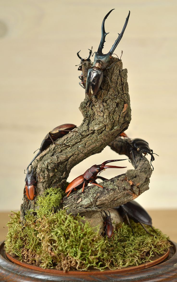 an insect sculpture sitting on top of a moss covered tree trunk with antlers in it