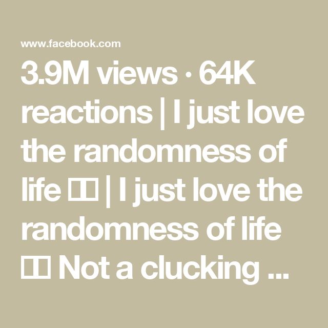 3.9M views · 64K reactions | I just love the randomness of life 🎷🐔 | I just love the randomness of life 🎷🐔
Not a clucking clue who they are but if you do then let me know 👍 | By Moonbeams and MayhemFacebook Laughter Is The Best Medicine, Clue, Life I, Just Love, Let Me Know, I Know, Medicine, Let Me, Good Things