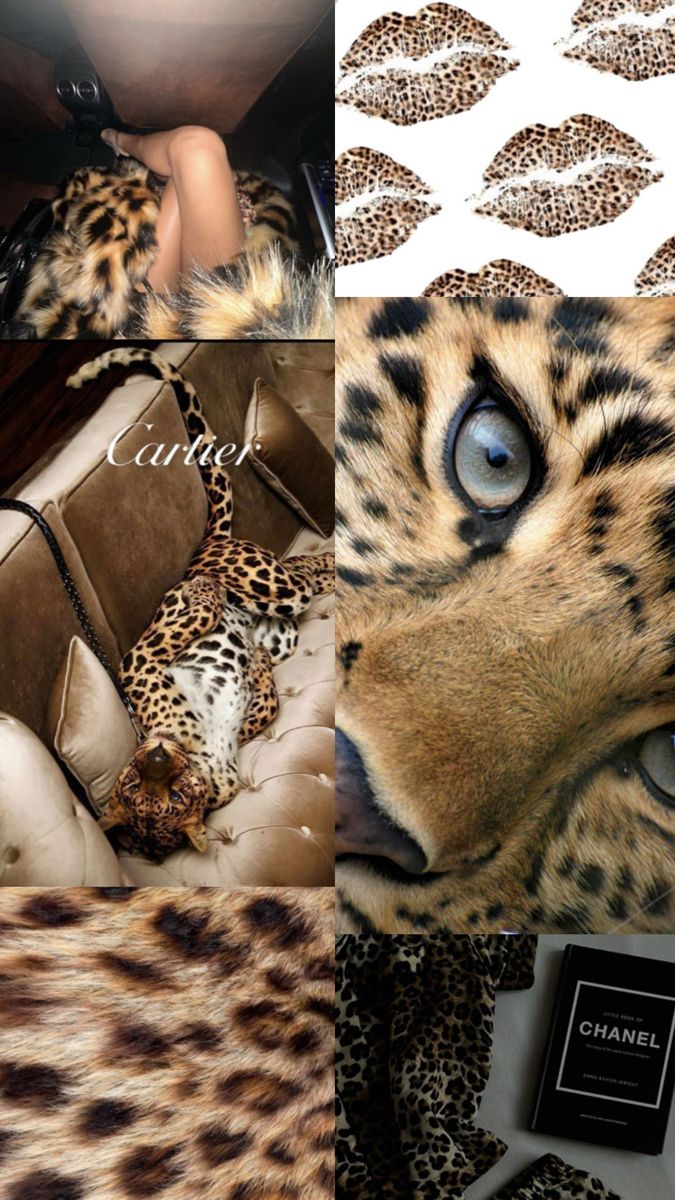 a collage of photos with leopard skin and blue eyes