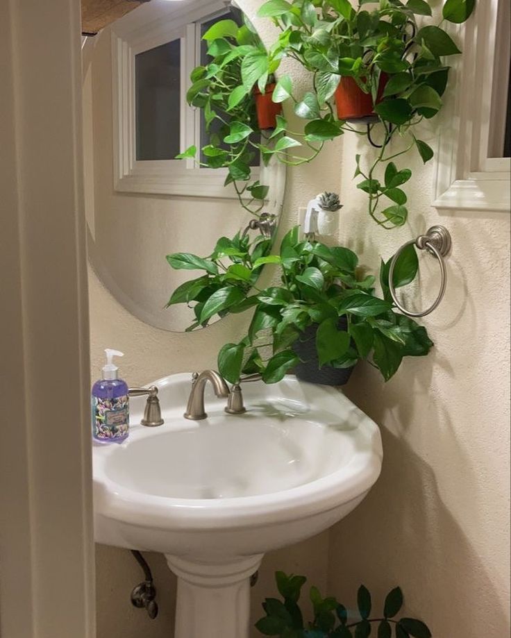 a white sink sitting under a bathroom mirror next to a plant filled wall mounted above it