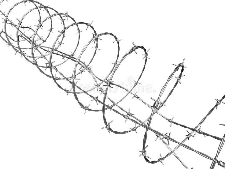 barbed wire on white background with clippings stock photo - image 349784