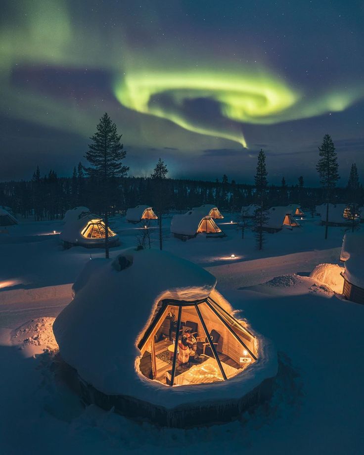 the aurora bore is lit up in the night sky above snow covered ground and trees