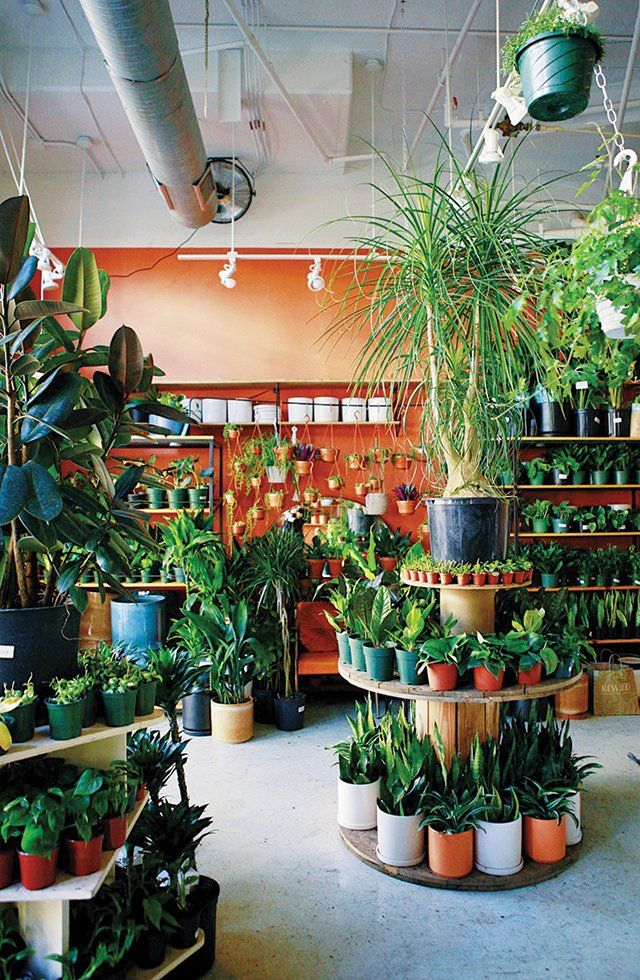 a room filled with lots of potted plants