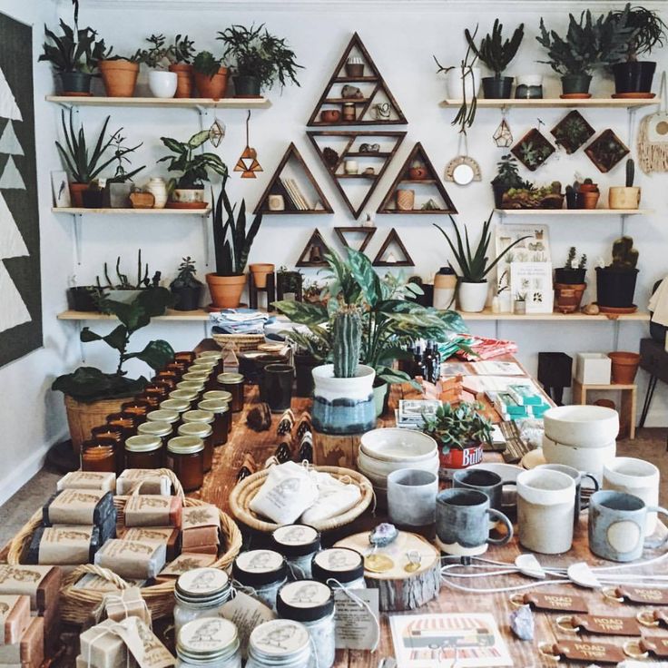 a room filled with lots of potted plants next to wooden shelves and pots on the wall