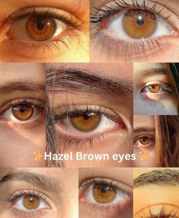 Pretty Eyes Color, Green Brown Eyes, Hazel Brown Eyes, Hazel Green Eyes, Eye Color Chart, Eye Colours, Mesmerizing Eyes, Eye Balls, Eyes Aesthetic