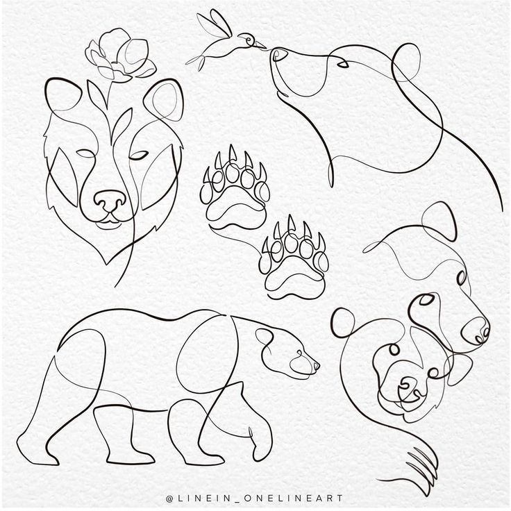 an animal line drawing is shown in black and white, with the outlines of different animals