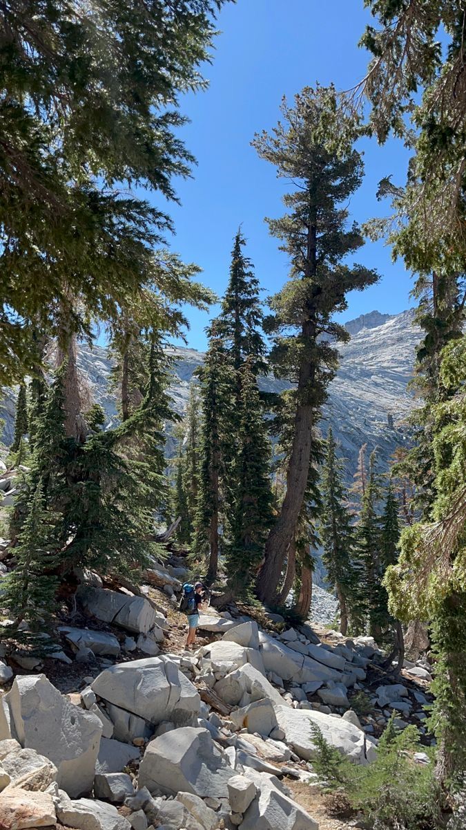 the trail is very rocky and has lots of trees on both sides, along with large rocks