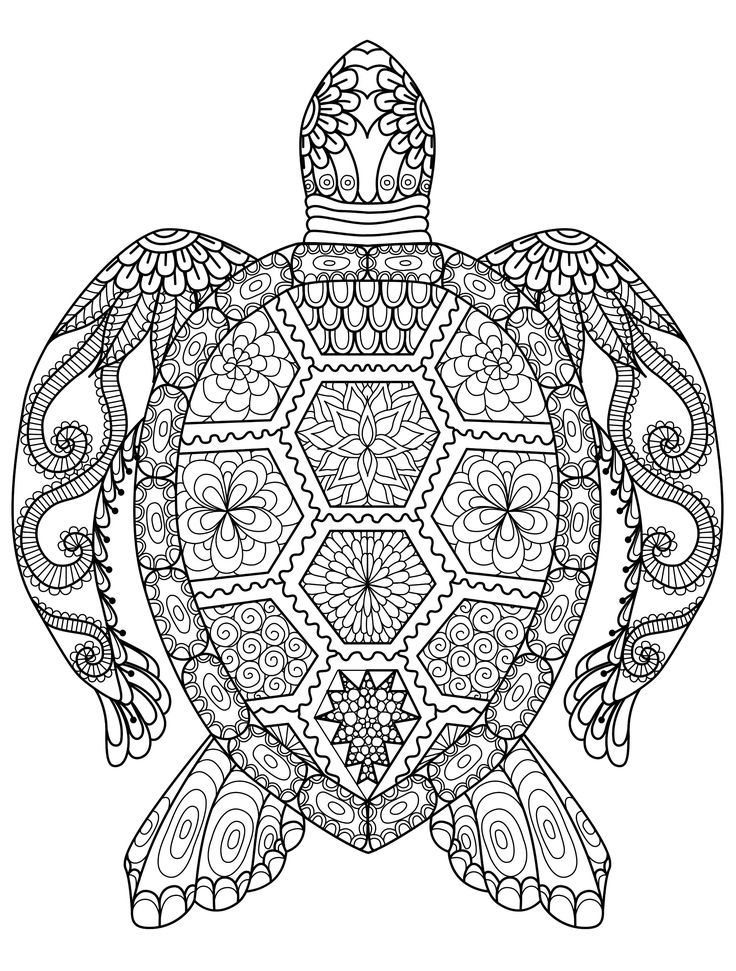 a coloring book page with an intricate turtle