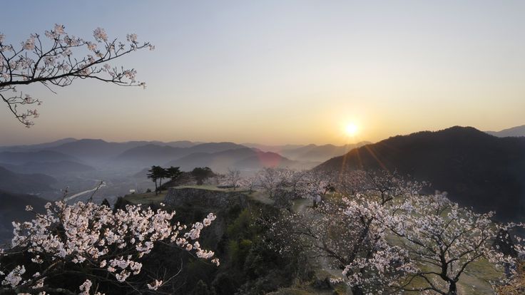 the sun is setting over some mountains with trees in bloom and flowers on the ground