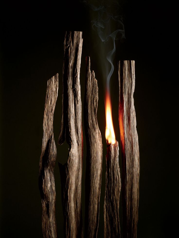 a close up of a lit candle with wood sticks in the foreground and a black background