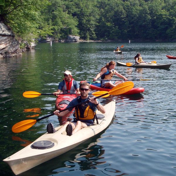 a group of people in kayaks paddling on the water