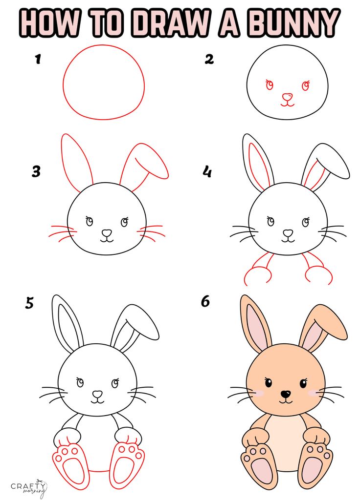 how to draw a bunny step by step instructions for kids and beginners with pictures