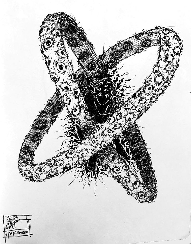 a drawing of an octopus is shown in black and white, with the tentacles splaying out