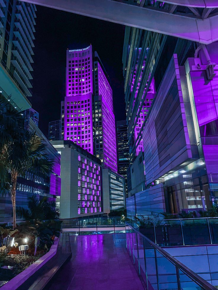 the city is lit up with purple lights