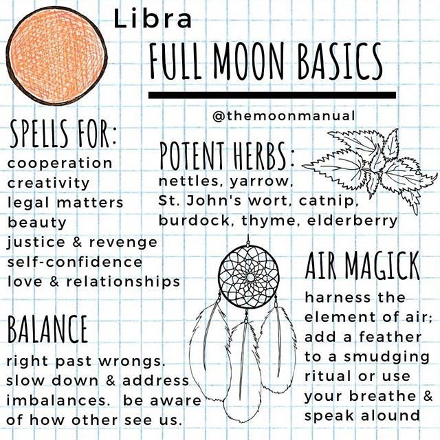 The Moon Manual by Quinn on Instagram: “Stuck at home in quarantine with all the time to prepare and I've given zero thought as to what imma do for the next full moon. Good thing…” Libra New Moon, Libra Full Moon, Zodiac Houses, Moon In Libra, Full Moon In Libra, Instagram Notes, St John's Wort, Witch Herbs, Witch Rituals