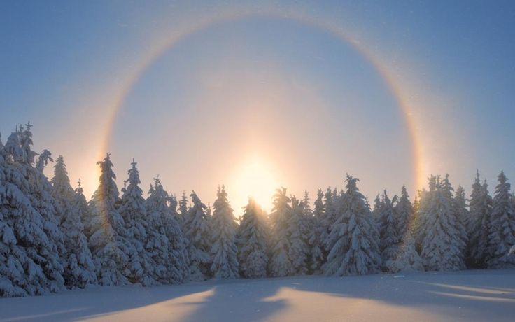 the sun shines through a halo in front of snow - covered trees and evergreens