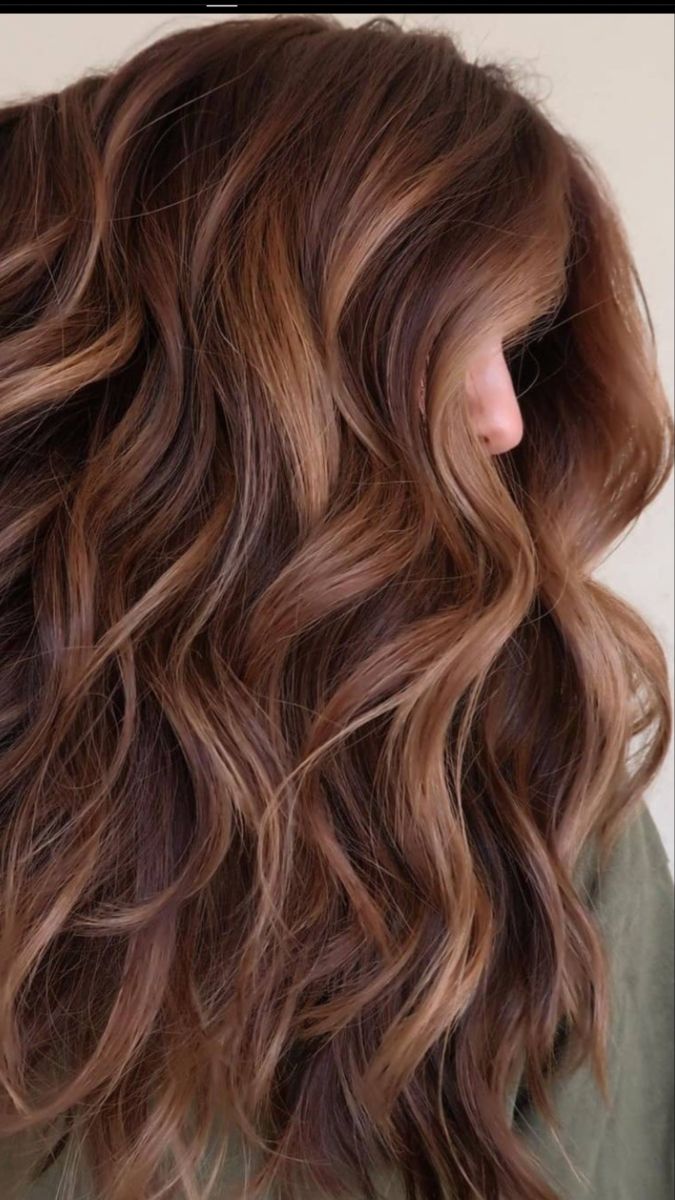 Summer Hair Color For Long Hair, Copper Cowgirl Hair Brunette, Brown Hair Balayage Cinnamon, Red Toned Highlights Brown Hair, Brown And Amber Hair, Reddish Brunette Balayage Hair, Red Tone Brunette Hair, Dark Brown Hair With Red Glaze, Auburn Brown Highlights In Brown Hair