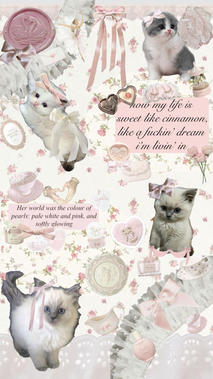 a collage of kittens and other items in pink, white and grey colors