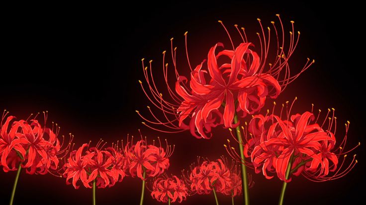 some red flowers on a black background