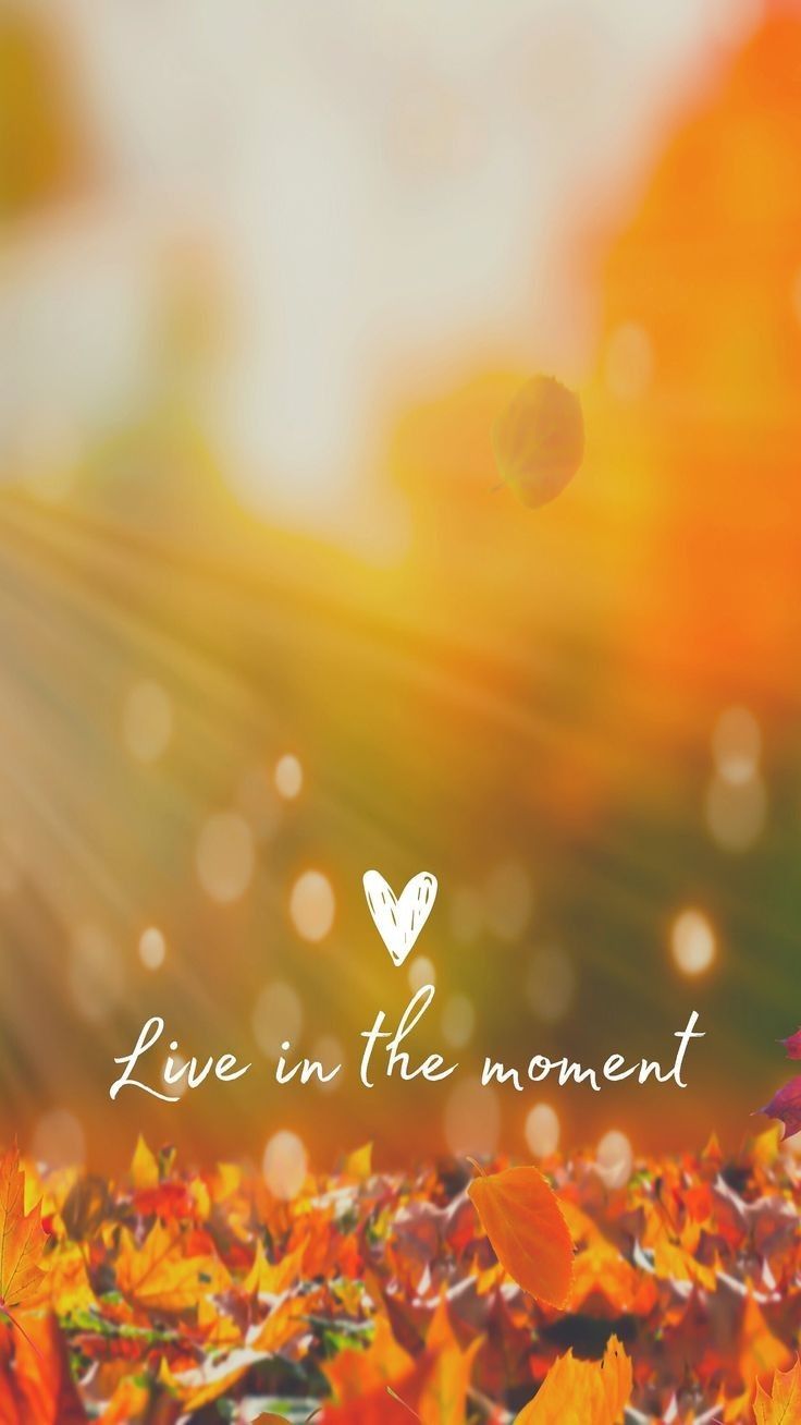 the words live in the moment are displayed on a blurry background with autumn leaves