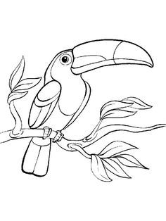 a black and white drawing of a toucan sitting on a branch