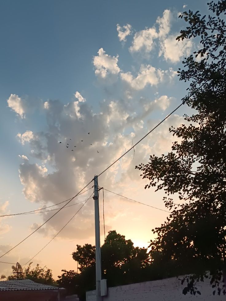 birds flying in the sky at sunset with power lines and telephone poles behind them on a cloudy day