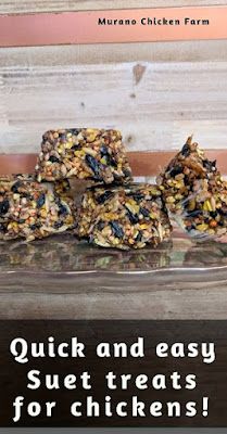 several homemade granola bars stacked on top of each other with text overlay reading quick and easy sweet treats for chickens