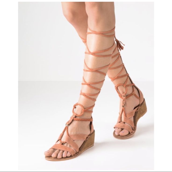 Free People Salterello Mauve Gladiator Sandal Small Wedge Approximately 2” Trendy Wedge Sandals For Summer, Trendy Adjustable Flat Heel Wedge Sandals, Summer Platform Lace-up Sandals, Summer Lace-up Heels Of Medium Width, Summer Lace-up Heels With Medium Width, Brown Platform Lace-up Sandals For Summer, Summer Lace-up Adjustable Wedge Sandals, Adjustable Lace-up Summer Wedge Sandals, Leather High Heel Lace-up Sandals For Summer